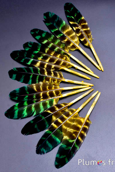 Adelaar (imitatie) - 10-15 cm - gestreept - geel-groen